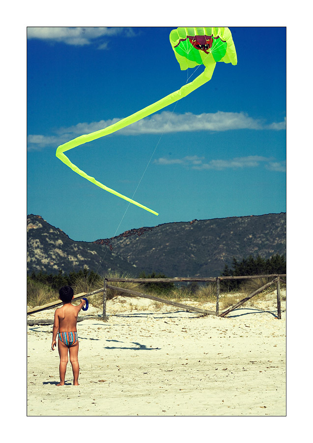 Wonderful summer on a solitary beach #8