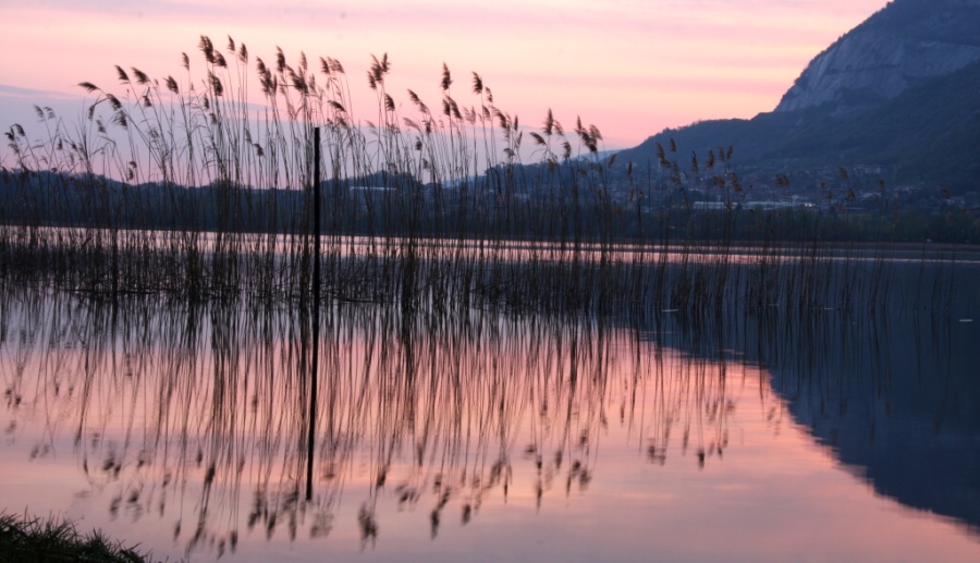 riflessi di un giorno che svanisce....