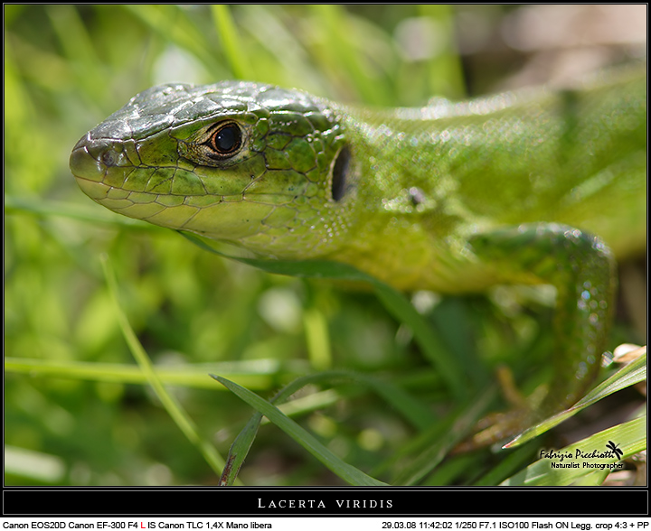 Uno sguardo... attento!