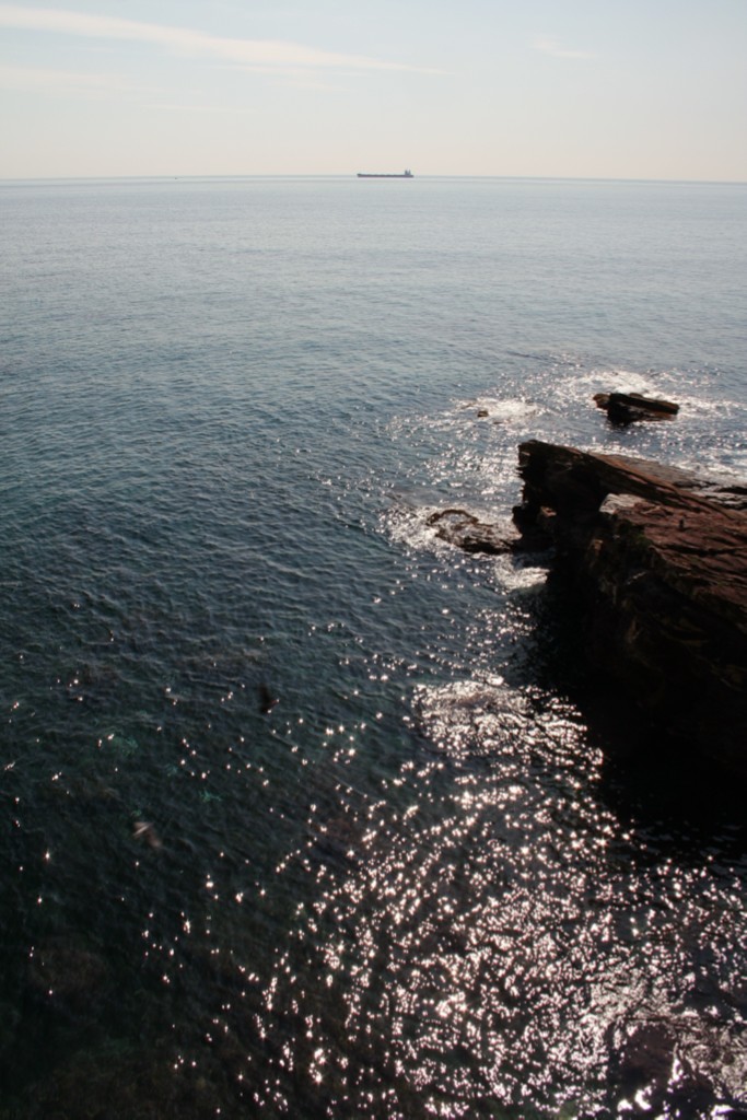 nave.. all'orizzonte