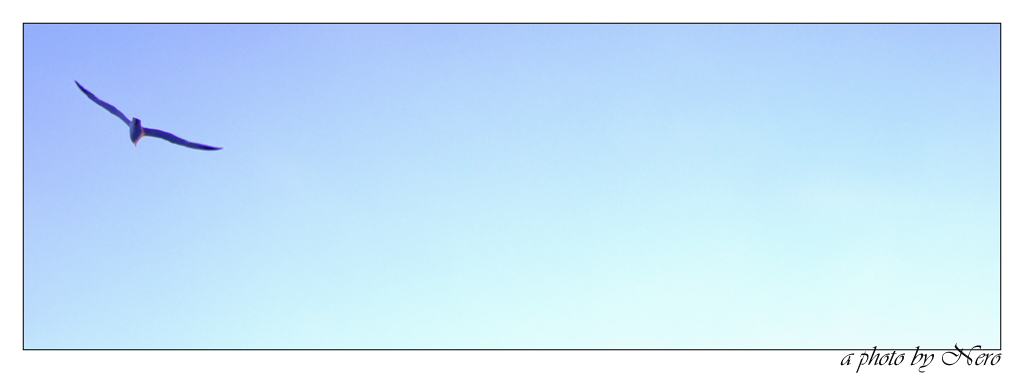 How far can You fly?