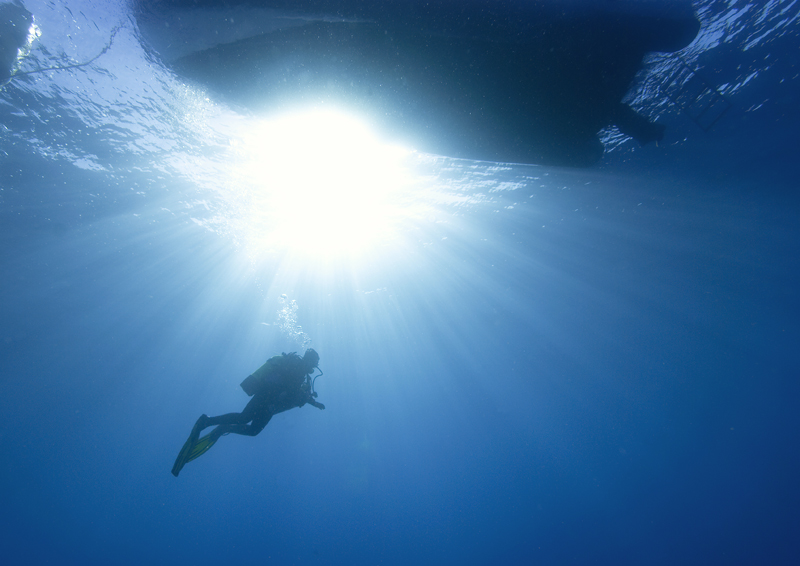 controluce - fine di una gara fotosub in estemporanea