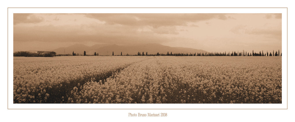 Viraggi di primavera