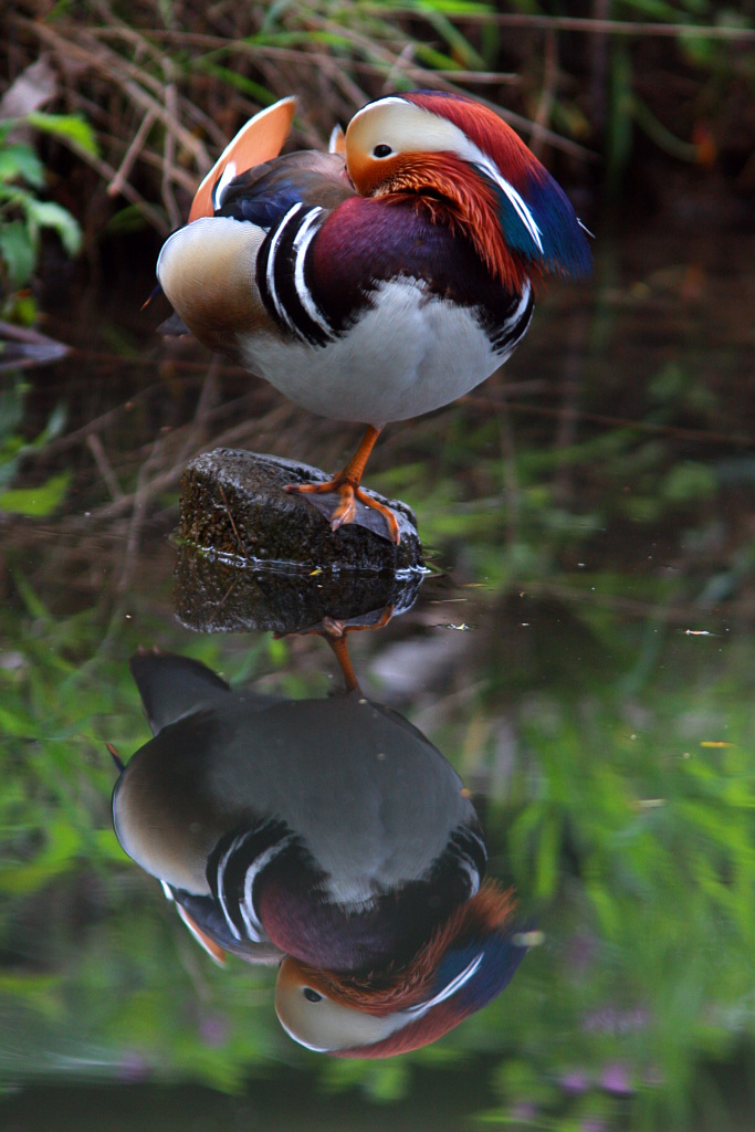 Pi� comodo di cosi . . .