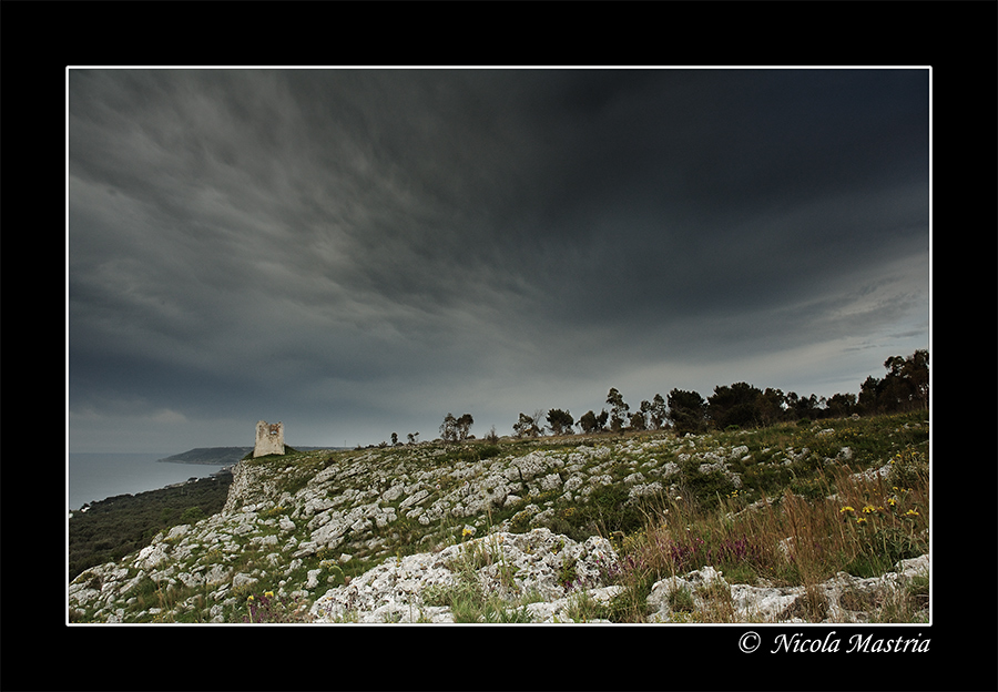 Arriver� l'estate?