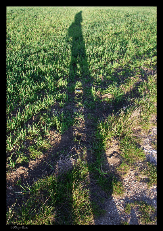 L'ombra del fotografo