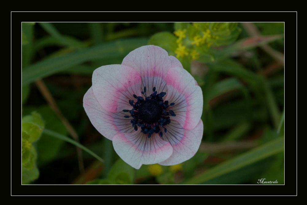 Guardare e non Toccare....