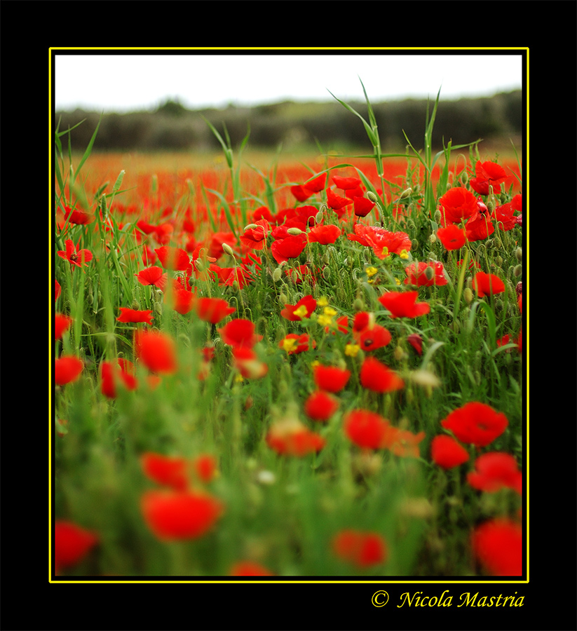 Nel grembo di madre natura