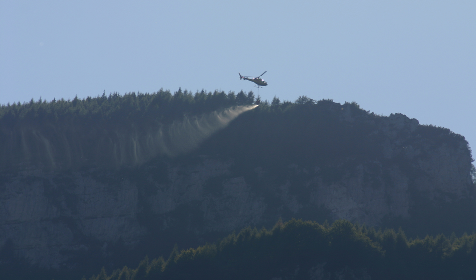 Tra alberi e crepacci