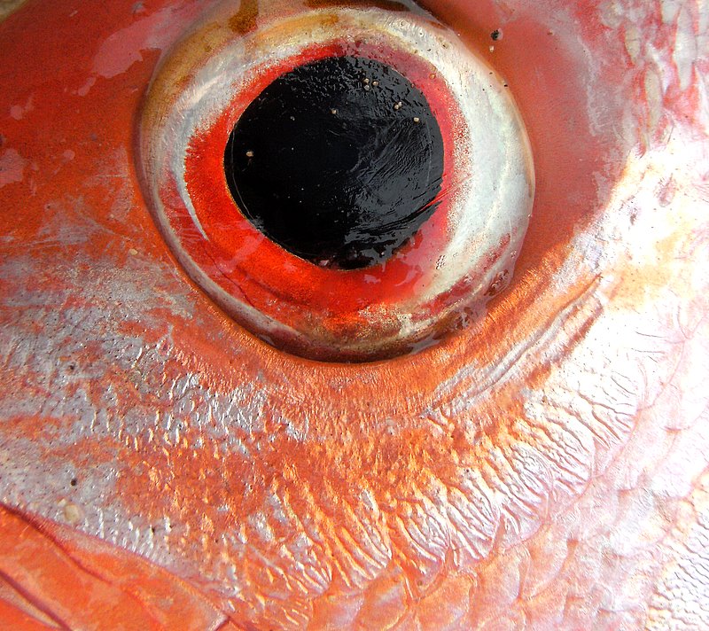 granelli di sabbia..