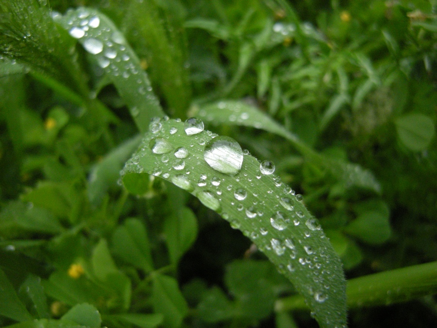 cristalli liquidi #3