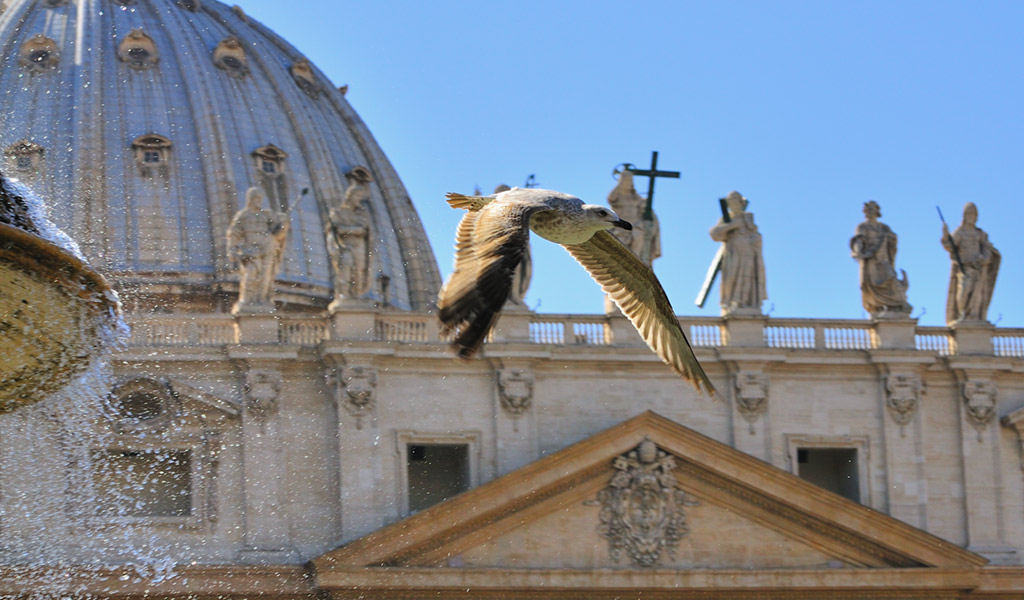 Le ali di S.Pietro 2