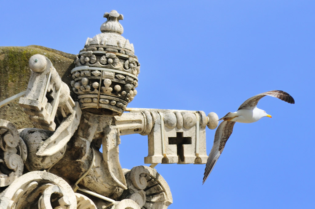 Le ali di S.Pietro 8