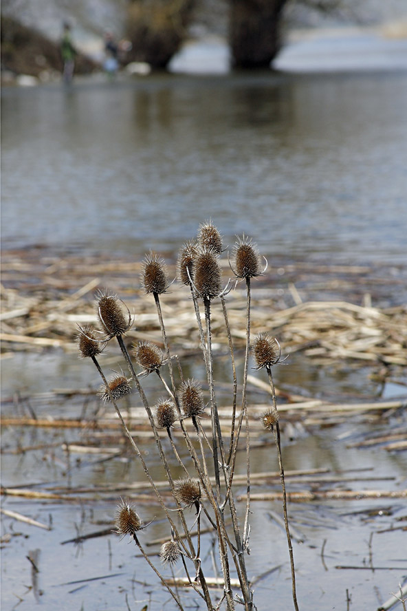Lago del Matese