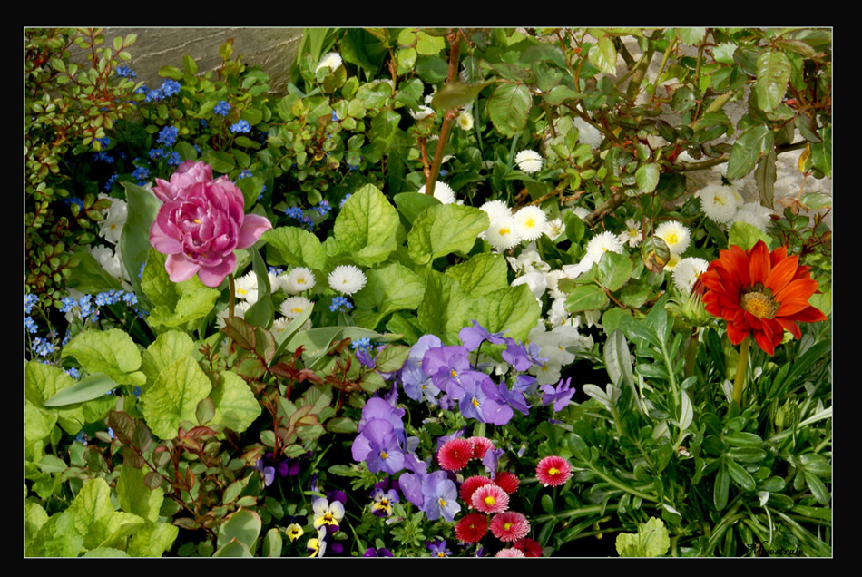 Il Giardino di MIRIAM