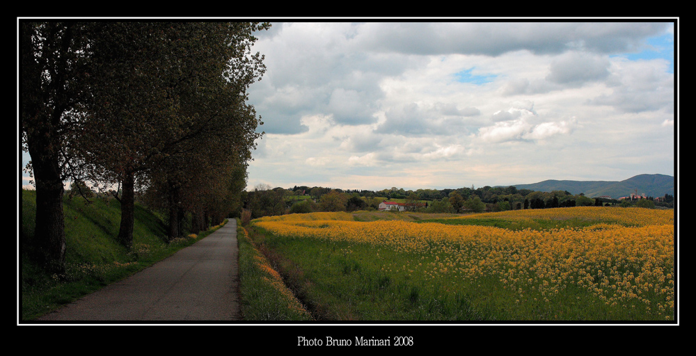 Girovagando per la campagna