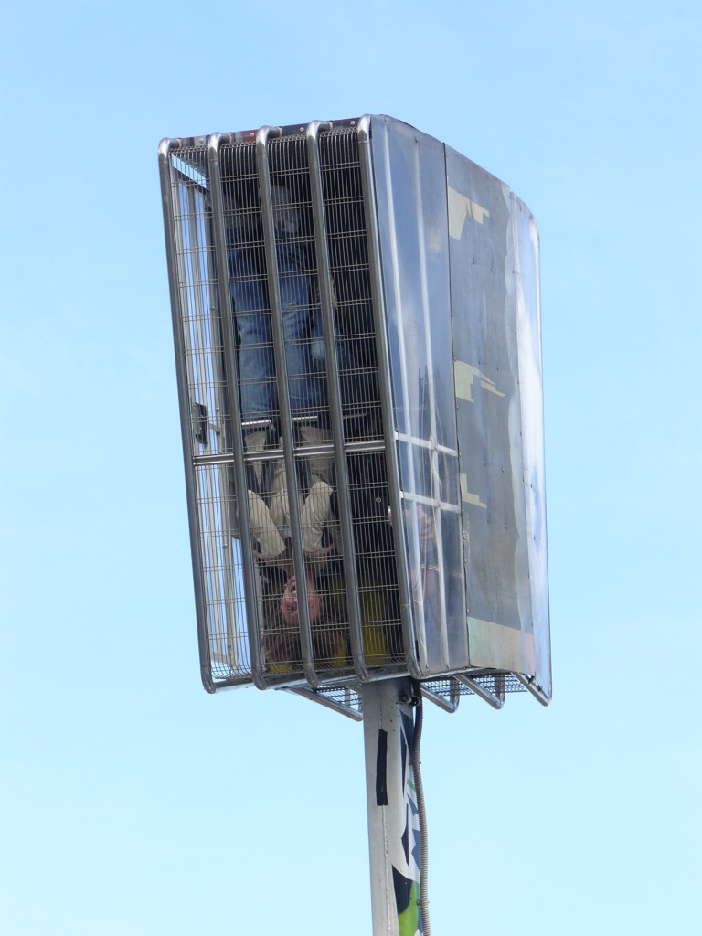 il....microfono.....volante