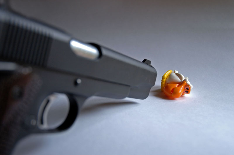 Morte di un uccello viaggiatore - Epilogo