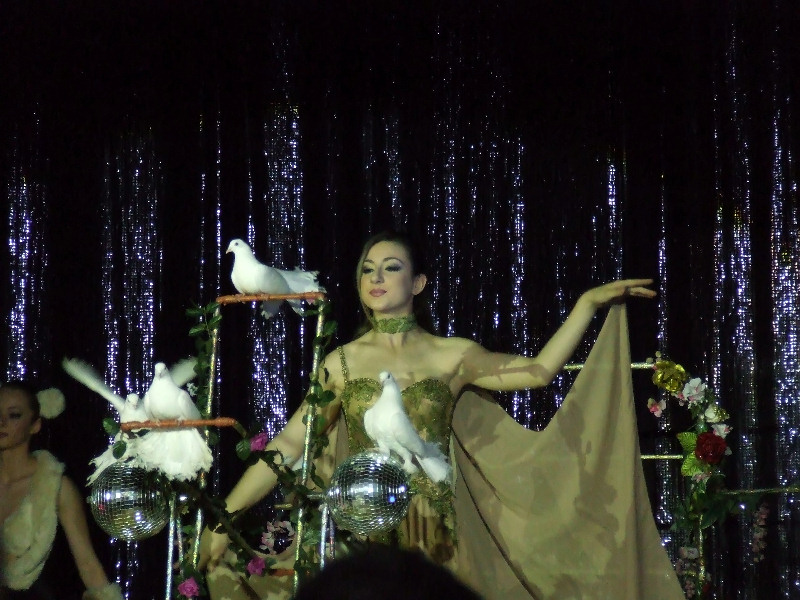 L'addestratrice di piccioni