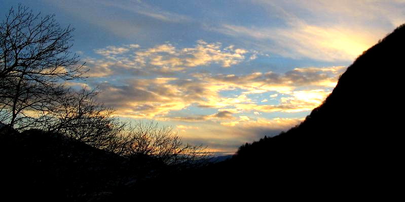 Alberi utopici verso le nuvole