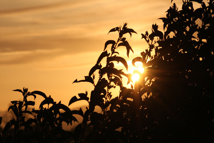 ultimi bagliori di giornata