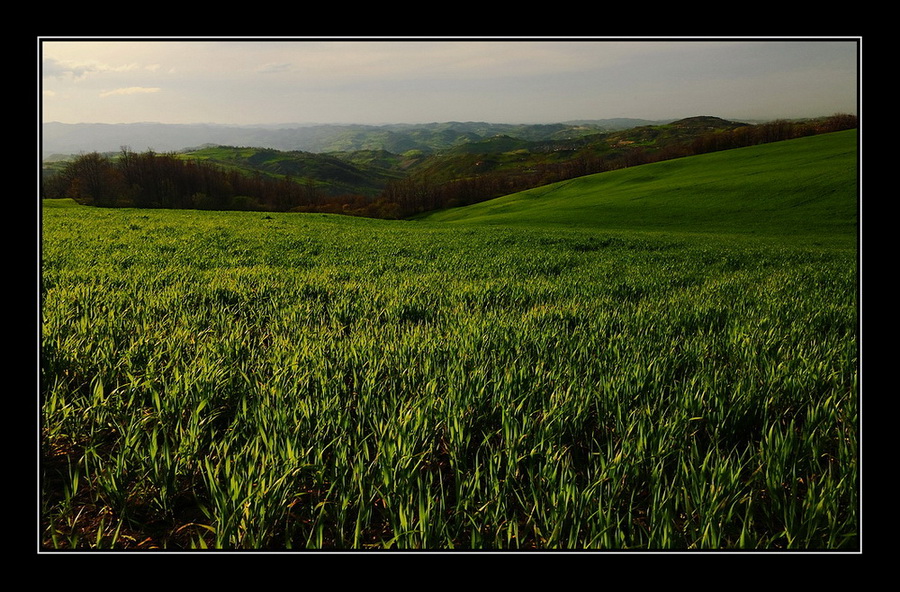 Verdi colline...di Romagna