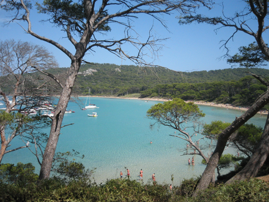 Spiaggia a Porquerolle