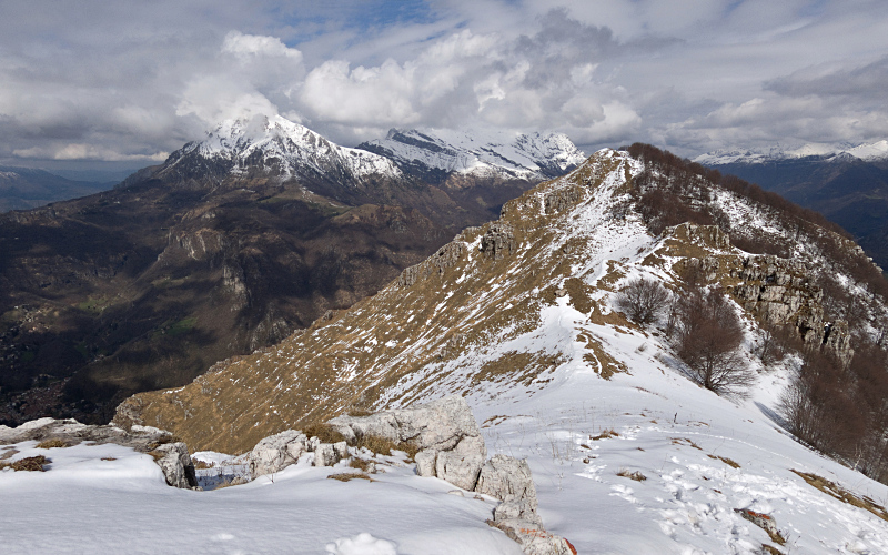 Aspettando la primavera