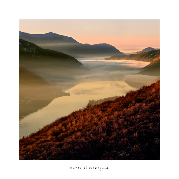 tutto si risveglia