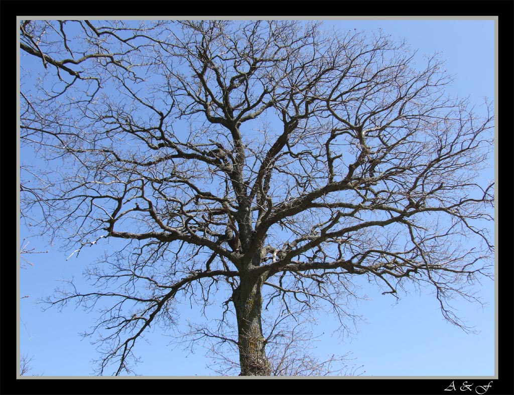Aspettando la primavera...