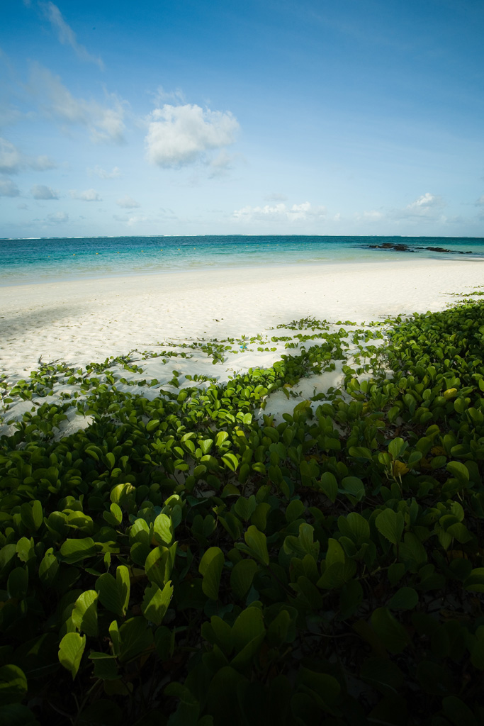 quasi, quasi mollo tutto e.....