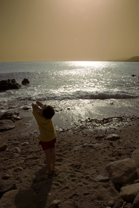 Non andiamocene pi�