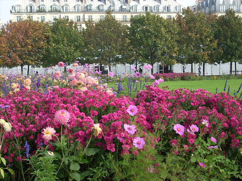 Jardin des Tuileries