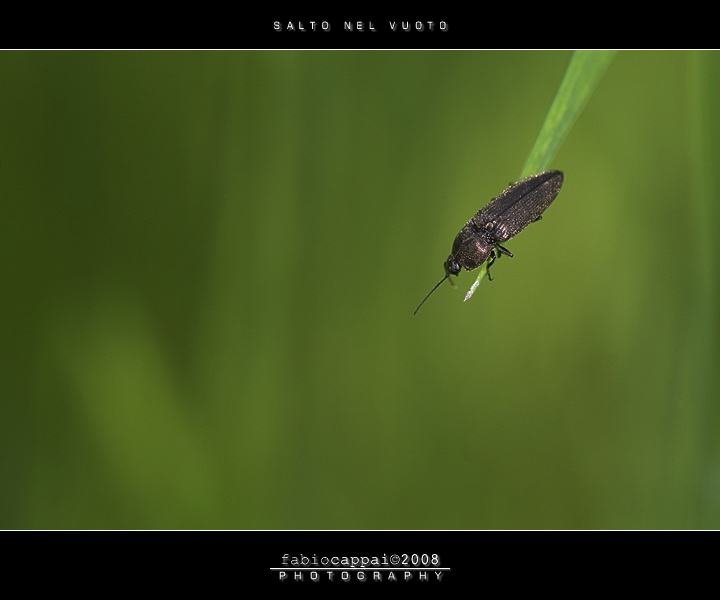 :: SALTO NEL VUOTO...