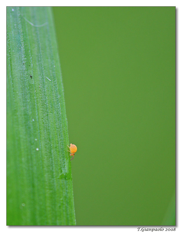 AAA..cercasi nome disperatamente