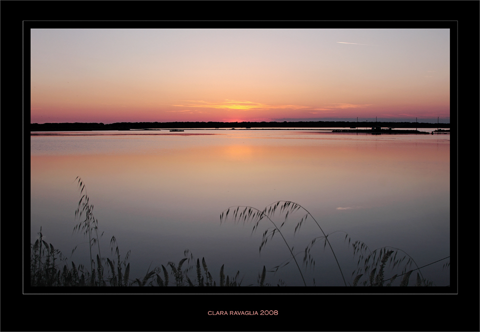 Nature in peace.....