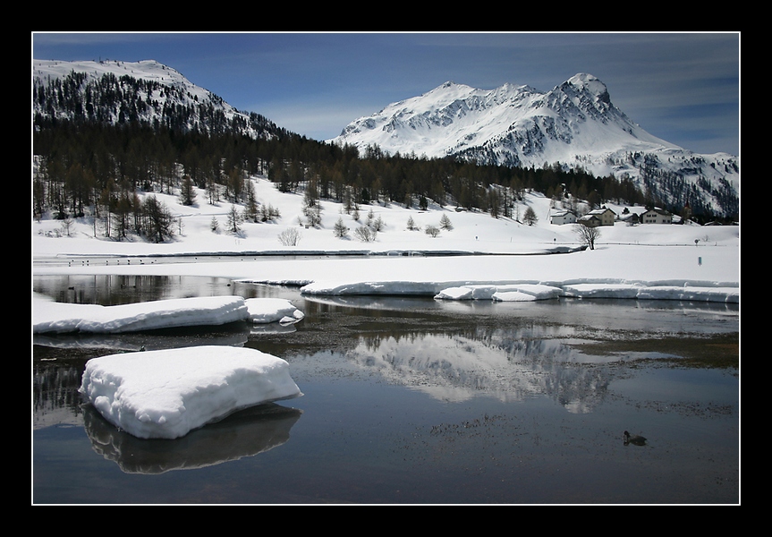 Primavera ad alte quote