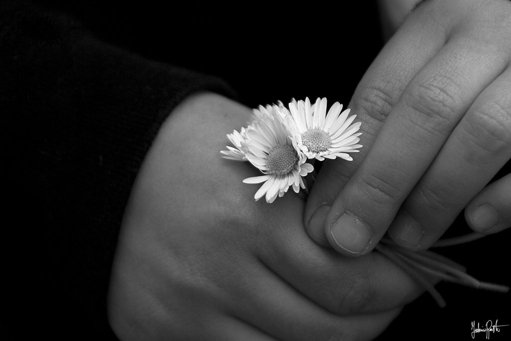 Kami e le margherite