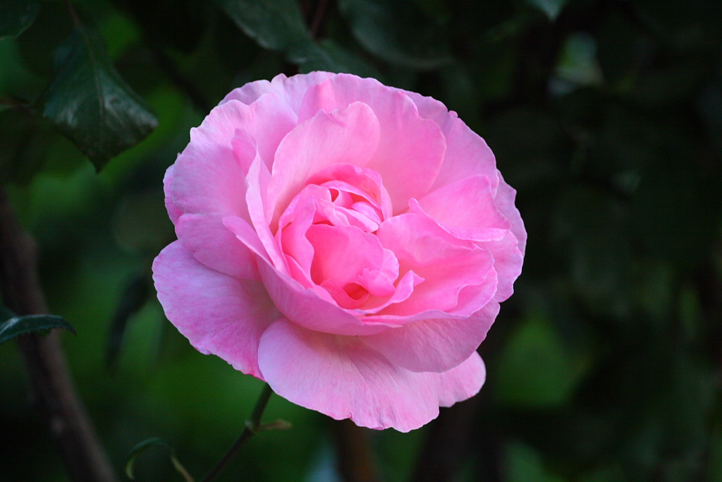 Dedicata alle donne...