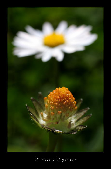 il ricco e il povero