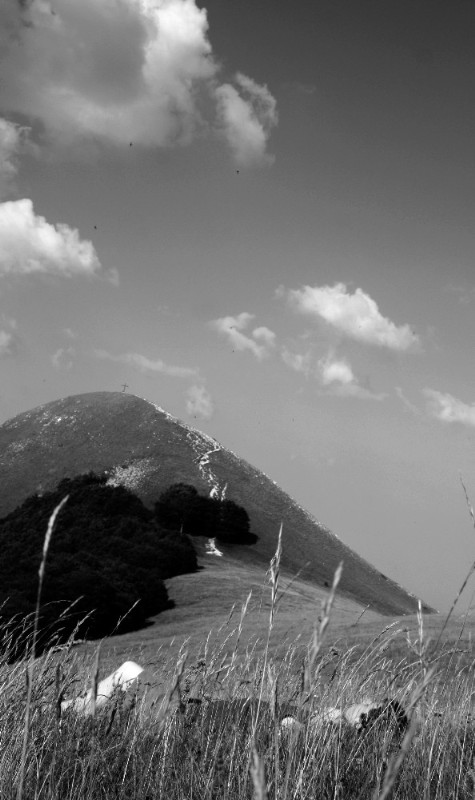 Sognare, il solo modo per non morire.