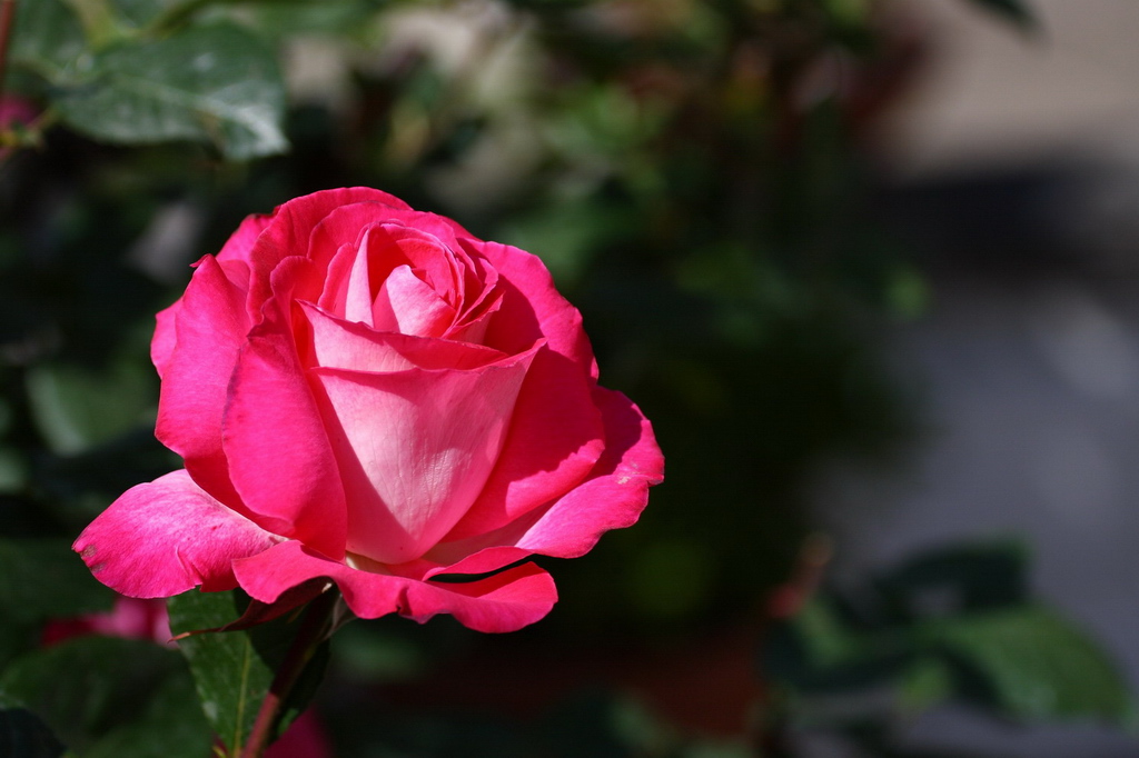 Sotto un sole che scotta...