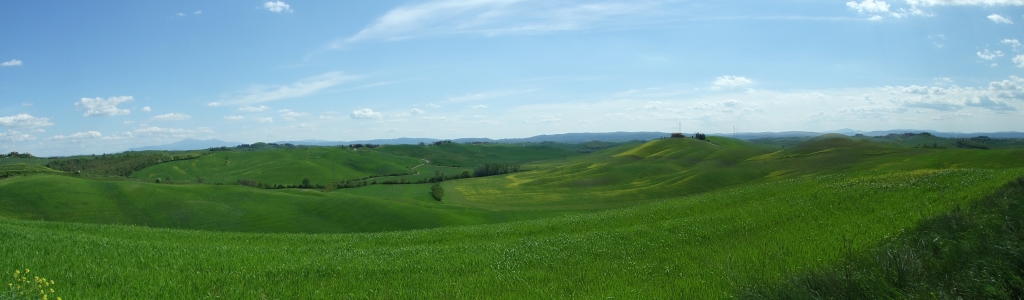Panorama Colline Senesi (2)