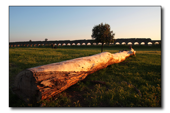 Parco degli acquedotti
