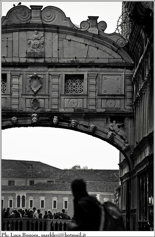 protagonista involontario dello spettacolo...