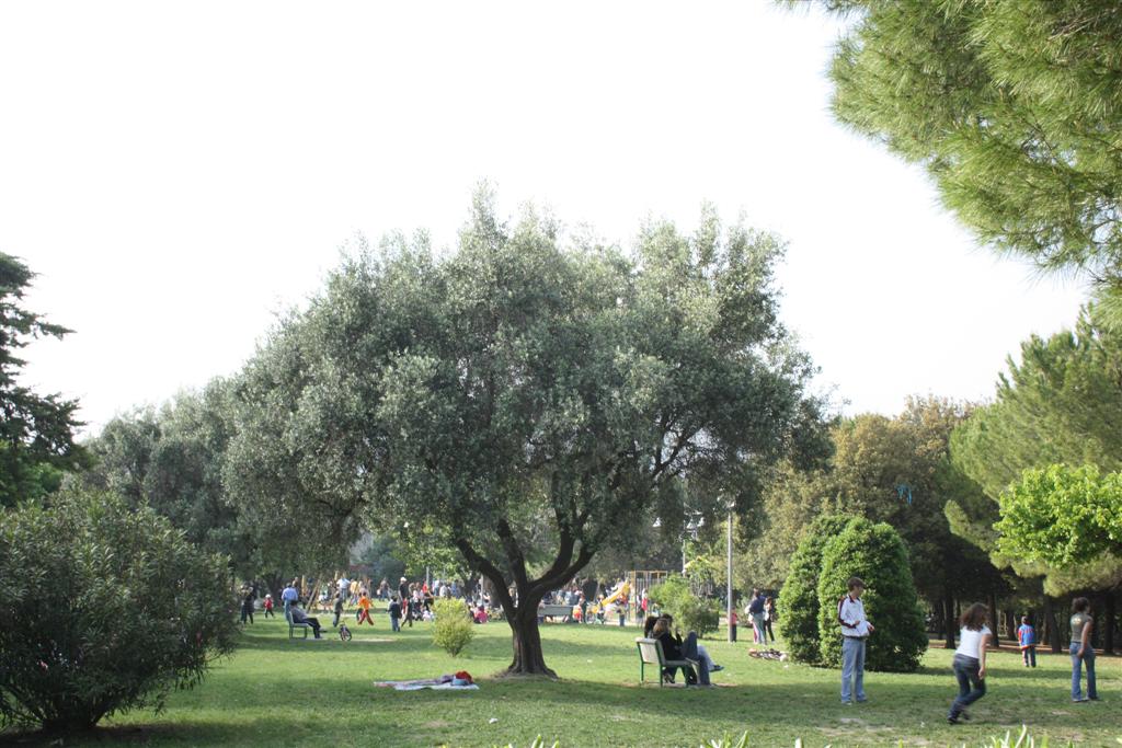 parco del conero