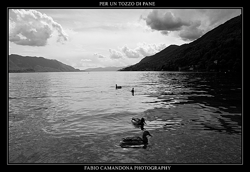 per un tozzo di pane