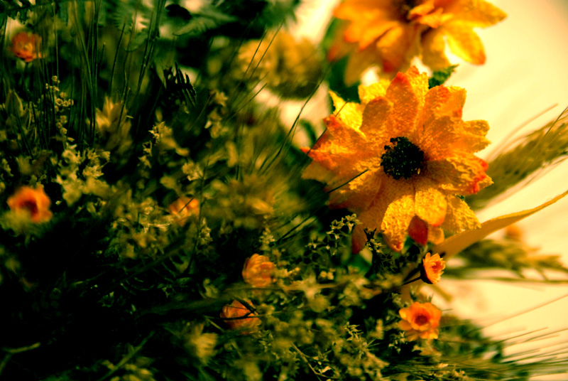 Composizione floreale