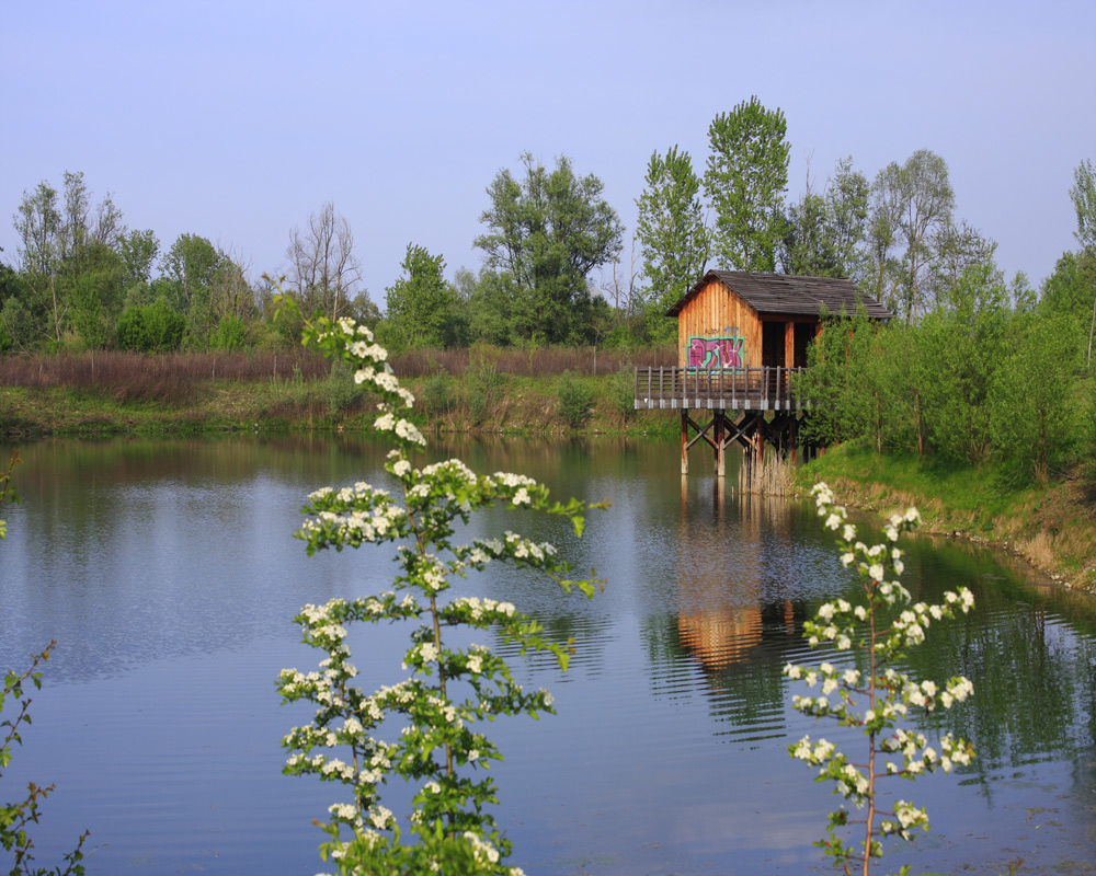 Posto di osservazione