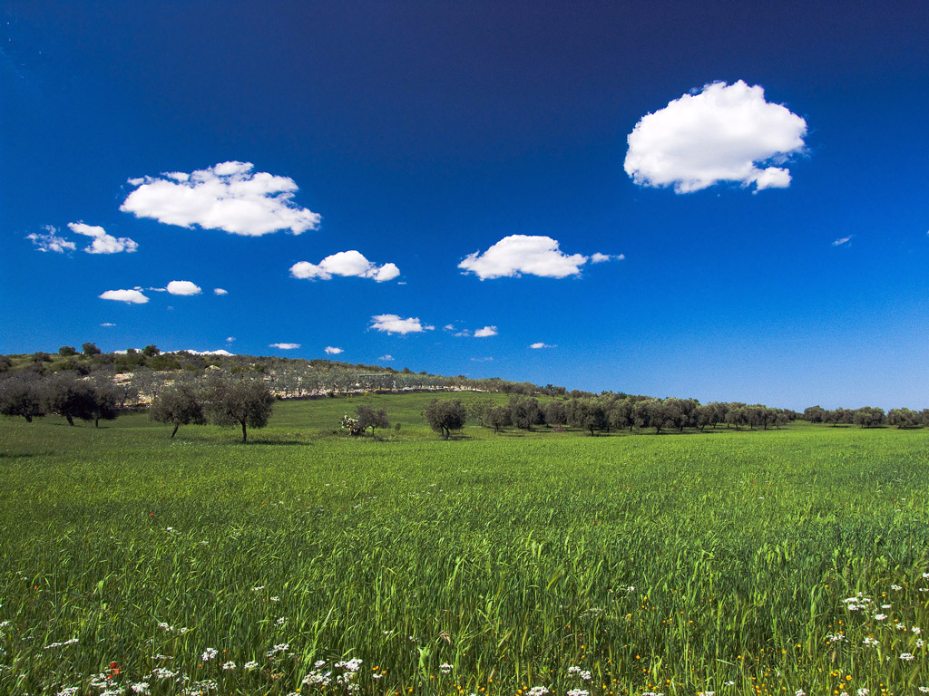 Sfondo... di Windows